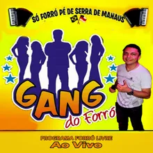 Sanfona Branca - GANG DO FORRÓ