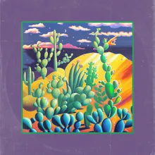 More Cactus