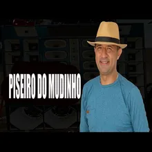 PISEIRO DO MUDINHO