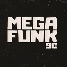 MEGA FUNK MAL CAMINHO