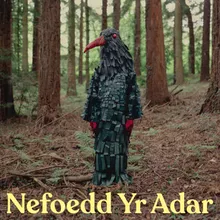 Nefoedd yr Adar