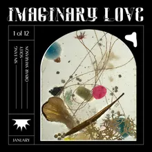 Imaginary Love