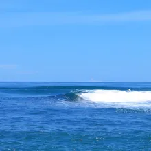 风海焦点