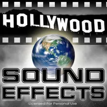 Vocal - Street Performer Sound Effect 2