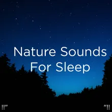 Relaxing Music Morning Nature