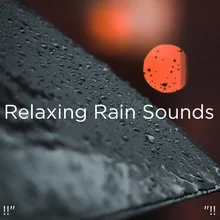 Mindfulness Nature &amp; Rain