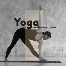 Yoga for Every Body