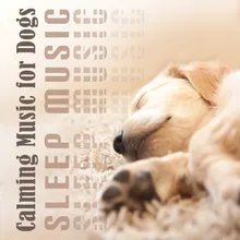 Relaxing Music for Dogs