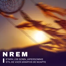 NREM Etapa 1 de Somn