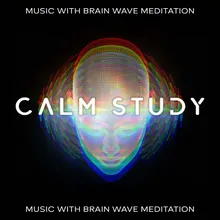 Concentration Music Study