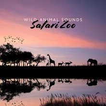 Wild Animal Safari (African Sunset)