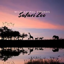 Safari Animals (Tribal Island)