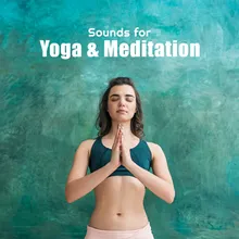New Age Music &amp; Yoga for Beginners Relaxation