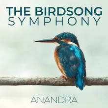 Birdsongs by the River