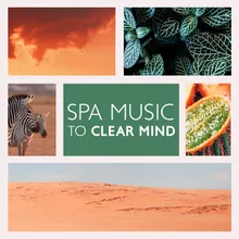 Spa Music Nature