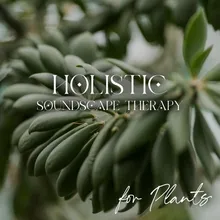 Plant Music Therapy