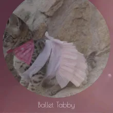 Ballet Tabby