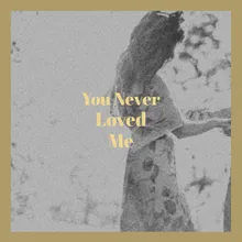 You Never Loved Me