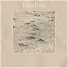 Darilee
