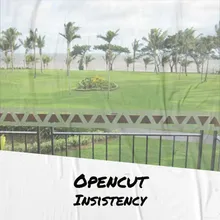 Opencut Insistency