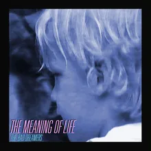 The Meaning of Life Instrumental