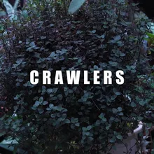 Crawlers