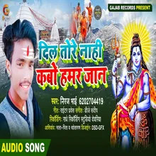 Dil Tore Nahi Kabo Hamar Jaan Bhakti Song