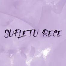 Sufletul Rece