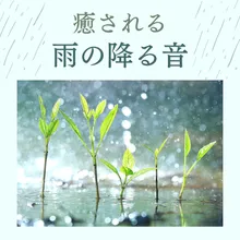 癒される雨の降る音