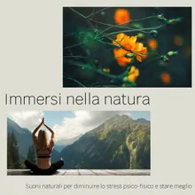 Relax, suoni della natura