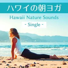 ハワイの朝ヨガ: Single