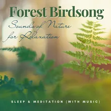 Forest Birdsong