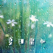 电子雨