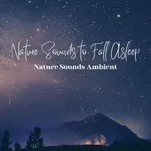 Gentle Wake Up with Nature Music