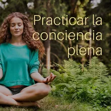 Es el Momento de Meditar