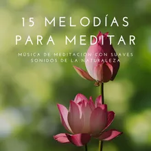 Melodías para Meditar