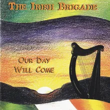 An Irish American Dream