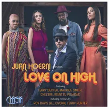 Love on High (Roy Davis Jr Bbq Mix) [feat. Terry Dexter]