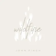 Wildfire