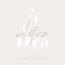 Wildfire - Acoustic