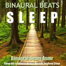 Alpha Waves for Sleep (Bird Sounds)