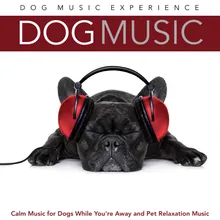 Dog Music