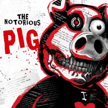 The Notorious Pig