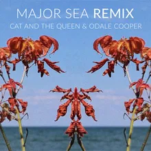 Major Sea (Remix)