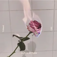 La Rose et l’Épine vol.1