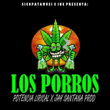 Los Porros