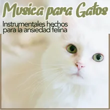 Música Antiestrés Para Gatos