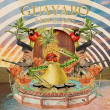 Guayabo