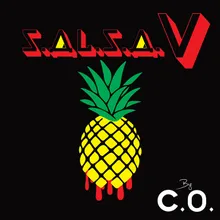 Salsa V