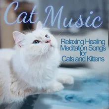 Cat Music Dreams